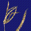 Photo of Dactyloctenium giganteum () - Smith, W.,Queensland Herbarium, DES (Licence: CC BY NC)